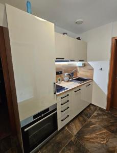 Kuchyň nebo kuchyňský kout v ubytování Apartmán U Bejka
