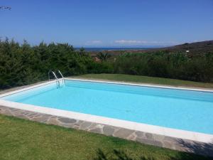 a swimming pool in the grass next to a house at Villa Agosto in Stintino