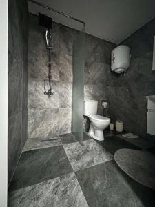 a bathroom with a toilet and a shower at Marias Apartments in Negotino +27 photos