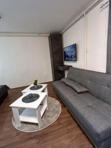 a living room with a couch and a table at Marias Apartments in Negotino
