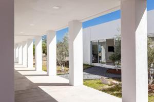 Zahrada ubytování Camino de Olivos - Desayuno Incluido y Aire Acondicionado