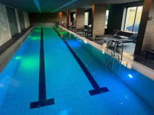 Πισίνα στο ή κοντά στο Apartman Obradovic Zlatibor Kalman