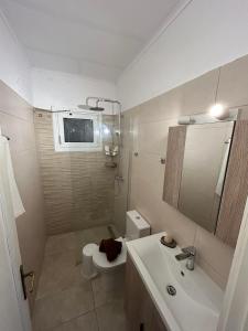 a bathroom with a sink and a toilet and a mirror at Christodoulos Villa in Agios Georgios +38 photos