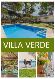 a collage of photos with a dog and a swimming pool at Cadizz - Villa Verde- La Barrosa in Chiclana de la Frontera