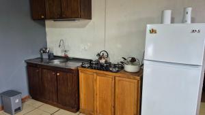 a kitchen with a white refrigerator and a sink at Departamentos Puerto Esperanza in Puerto Esperanza