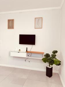 Μια τηλεόραση ή/και κέντρο ψυχαγωγίας στο Casa Pitaya - Espaçoso Apto 2 min da Praia do Forte, Cabo Frio
