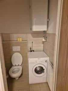 a small bathroom with a toilet and a washing machine at Privat Apartment 2 Leoben in Leitendorf