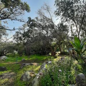 Zahrada ubytování Yoga y descanso en el bosque