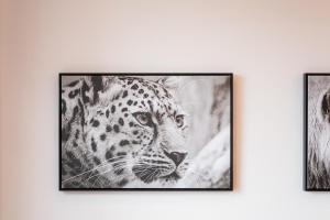 a framed picture of a leopard on a wall at Masingita Towers Sandton - Luxurious Apartment Condo - 9th Floor in Johannesburg