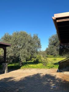 a park with a bench and trees in the background at Rural Apartment 44 in Alghero