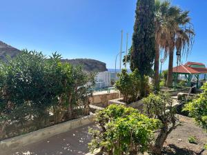 giardino con palme e vista sull'oceano di SOL VELEROS Puerto Rico Apartement a Puerto Rico de Gran Canaria