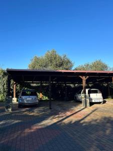 two cars parked in a parking lot at Rural Apartment 44 in Alghero +6 photos