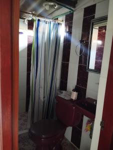 un bagno con wc, lavandino e doccia di Casa finca en pueblo rico Neira a Neira