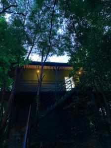 a house with a bridge in the woods at night at Green House Resort in Sigiriya
