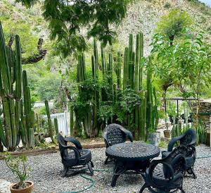 a patio with a table and chairs and cactus at Cabañas Rincón Metztitlán in Azolzintla