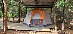 Foto dalla galleria di Captain's Camp a Sirsi