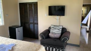 TV a/nebo společenská místnost v ubytování Chaudhry Second Floor Single Suite