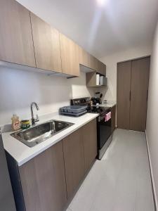 Kuchyň nebo kuchyňský kout v ubytování Loft Chic en Cipreses
