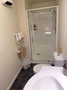 a bathroom with a shower and a white toilet at Otago Peninsula Paradise in Dunedin