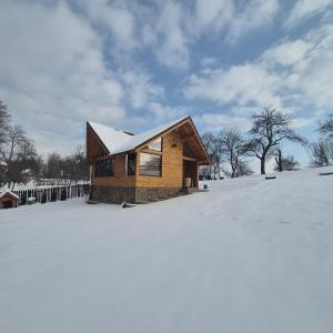 una casa con techo cubierto de nieve en un campo cubierto de nieve en Căsuță Baciului, en Berevoeşti