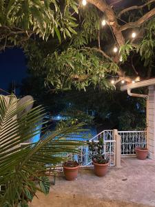 a group of potted plants on a wall at Katún boutique hotel in Flores