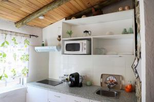 una cucina con lavello e microonde di Monte Cimeiro a Chaveirinha
