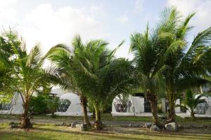 Taman di luar Patdra Glamping