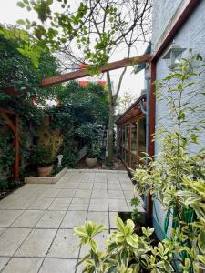 an outdoor patio with awning and plants in front of a building at Gästehaus Wilhelma in Gießen +13 photos