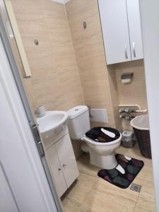 Ένα μπάνιο στο Garsoniera 25 m2