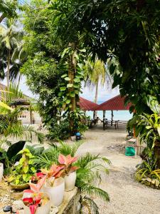 a bunch of plants in pots on a beach at Cabin B in Bigang Munti in Batangas City