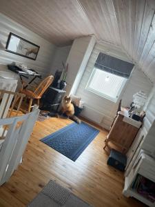 an overhead view of a living room with a cat sitting on the floor at Hytte i Altafjorden in Alta