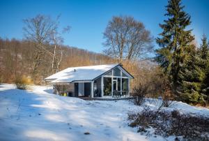 a small house in the snow in the woods at 2 Personen mit Sauna F3H5 in Ruhla