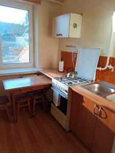 Kuchyňa alebo kuchynka v ubytovaní Apartament Krynica