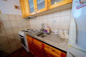 una piccola cucina con lavello e fornello di Pine Valley House a Zlatibor