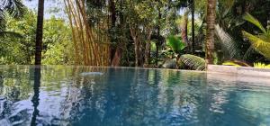 Afbeelding uit fotogalerij van A Peace In Paradise in Baie Lazare Mahé