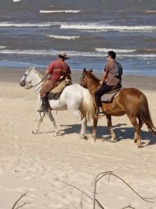Zvířata v luxury tent nebo okolí