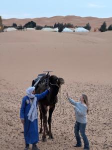 twee mensen die naast een kameel in de woestijn staan bij Dream luxury camp in Merzouga