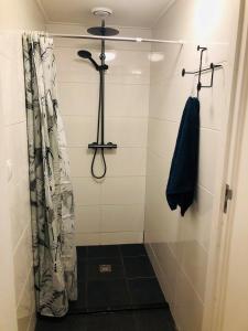 a bathroom with a shower with a shower curtain at B&B de Lytse Geast in Tietjerk