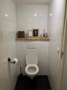 a small bathroom with a toilet with a shelf at B&B de Lytse Geast in Tietjerk