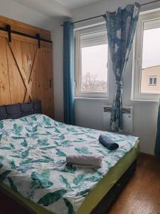 Una cama o camas en una habitación de SPA apartment YANG - hot tub, sauna, spa