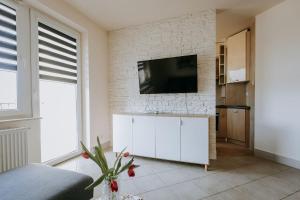 Televízia a/alebo spoločenská miestnosť v ubytovaní Apartament Milbertus