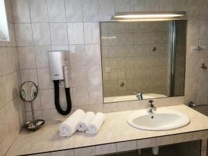 Koupelna v ubytování Hôtel Les Fleurs