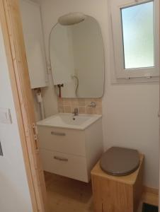 a bathroom with a toilet and a sink and a mirror at Tiny house sous le chene in Saint-Roch