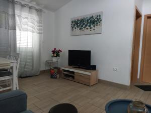TV a/nebo společenská místnost v ubytování Apartment Dario