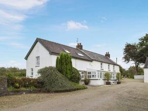 ein weißes Haus mit Büschen in der Unterkunft Hideaway Cottage in Troedyraur + 17 Fotos