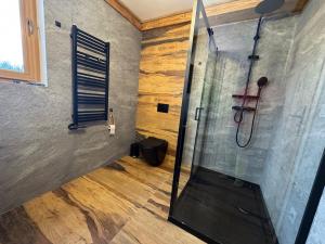 ein Badezimmer mit Dusche mit Glastür in der Unterkunft Apartamenty Baj na Polnej - Studio Trzy Horyzonty in PyzÃ³wka + 31 Fotos