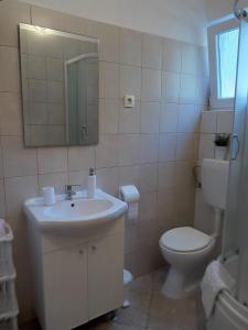a bathroom with a sink and a toilet and a mirror at Apartmani Goga Tomić in Seline