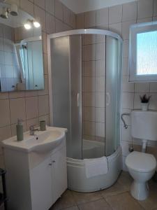 a bathroom with a shower and a sink and a toilet at Apartmani Goga Tomić in Seline