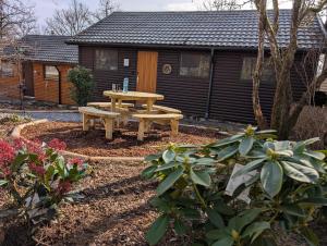 a backyard with a picnic table and a house at Chalet HEUREux in Somme-Leuze