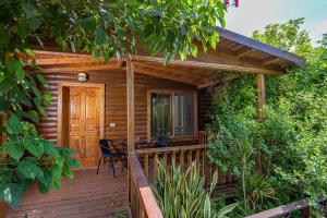 Vườn quanh בקתות רם-מתחם בקתות מהמם עם בריכה פרטית ונוף מושלם